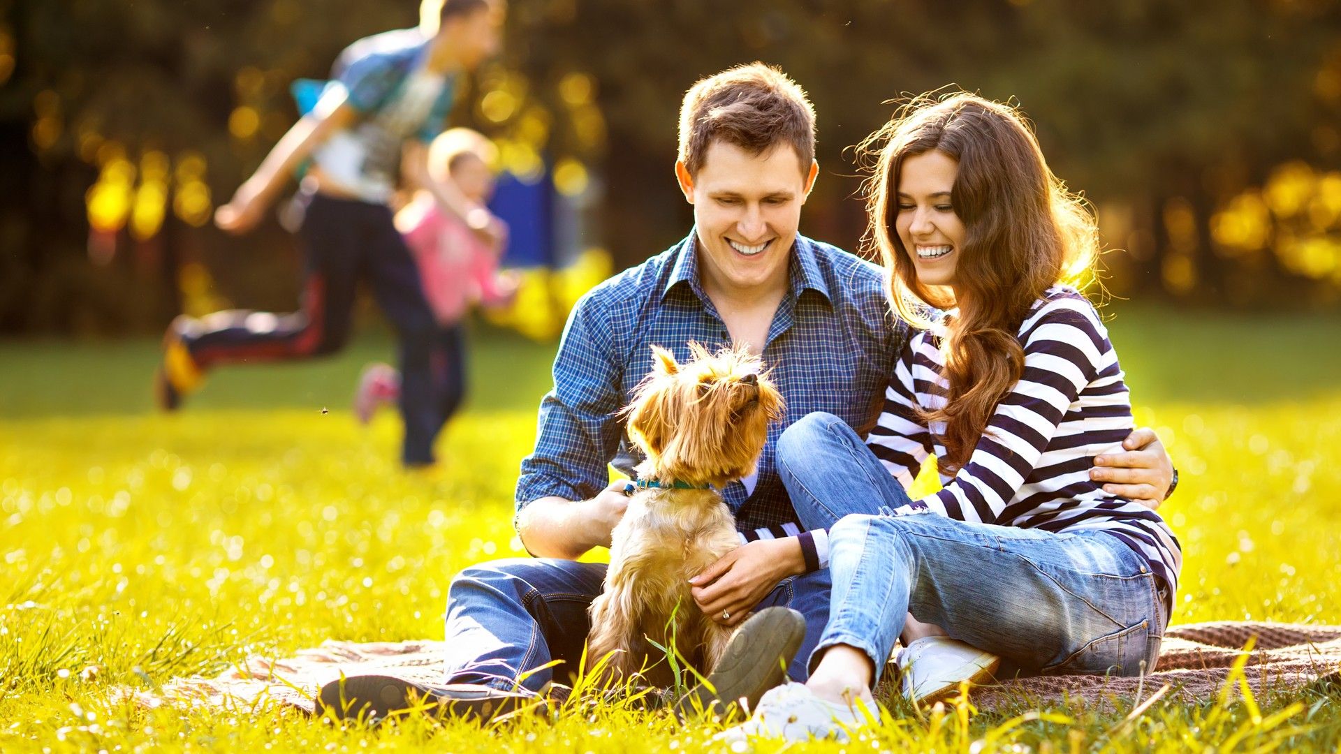 Experience serene park life in Trevenna, Windsor. Enjoy lush landscapes and vibrant community living.