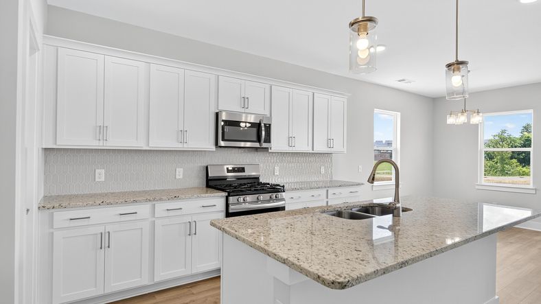 Beautiful spacious single-family kitchen located in McClure Farms.