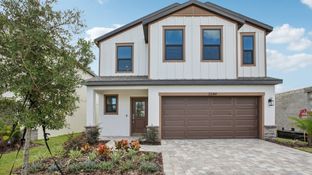 Naples - Grasslands West: Lakeland, Florida - DRB Homes