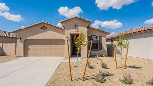 Acacia - Castillo - Castillo at Anderson Parc: Buckeye, Arizona - DRB Homes