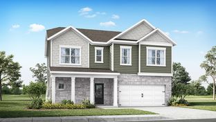 DIJON B - Harvest Point: Spring Hill, Tennessee - D.R. Horton Basic