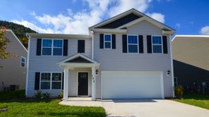 123 Creek Walk Lane (Hayden)