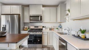 The Finley - Ardan Place Townhomes: Rosemount, Minnesota - D.R. Horton Basic