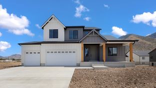 Sydney - Viridian: Salem, Utah - D.R. Horton Basic