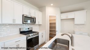 1255 Burlywood Lane (ELGIN)