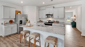 4306 Peach Run Lane (Dover)