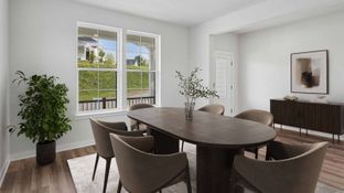 Hampshire with Finished Basement - Regents Park: Venetia, Pennsylvania - D.R. Horton Basic