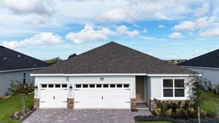 MADISON - Lakes of Mount Dora: Mount Dora, Florida - D.R. Horton Basic