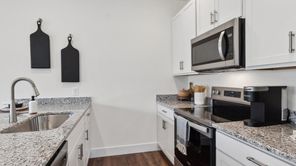 1161 Wenna Way (Altamont Townhome)