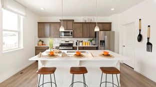 Bridgeport - Timberleaf: Thornton, Colorado - D.R. Horton Basic