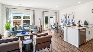 Altamont Townhome - The Arbor Townhomes: Kingsport, Tennessee - D.R. Horton