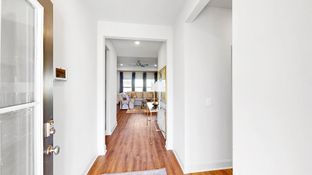 JASMINE - Horseshoe Bend: Clinton, Mississippi - D.R. Horton