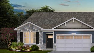 Taylor - The Grasslands Freedom Ranch Duplexes: Bartlett, Illinois - D.R. Horton