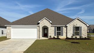 Hudson - Magnolia Lakes: Maurice, Louisiana - D.R. Horton