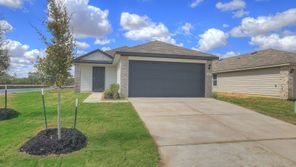 344 Cottonmouth Ln (The Emma)