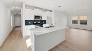 1206 Rusted Rail Dr (Orion)