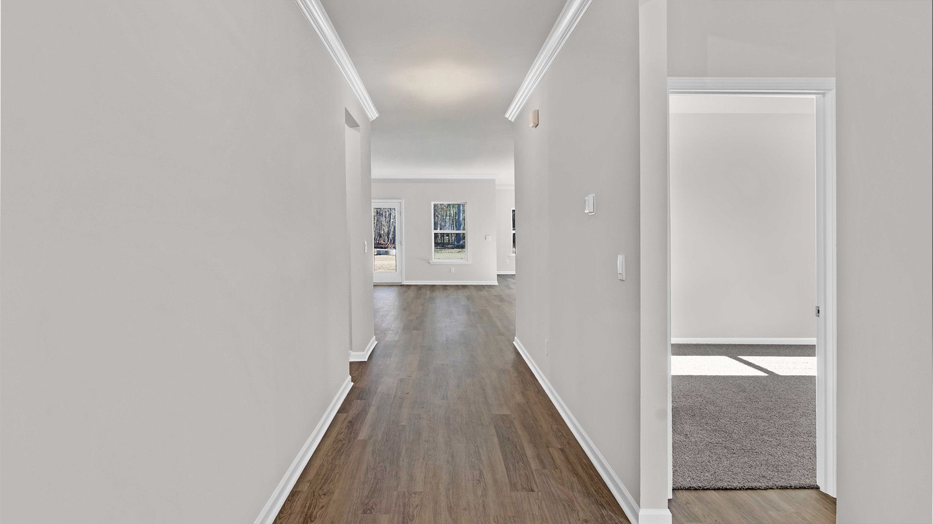 Hedge Rose - Somerville, TN