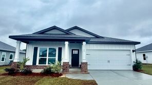 28120 HALLOW TRAIL (FREEPORT)