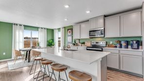 825 Trumpet Ln (Edmon)