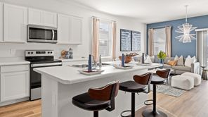 25300 N 184th LN (Dove)