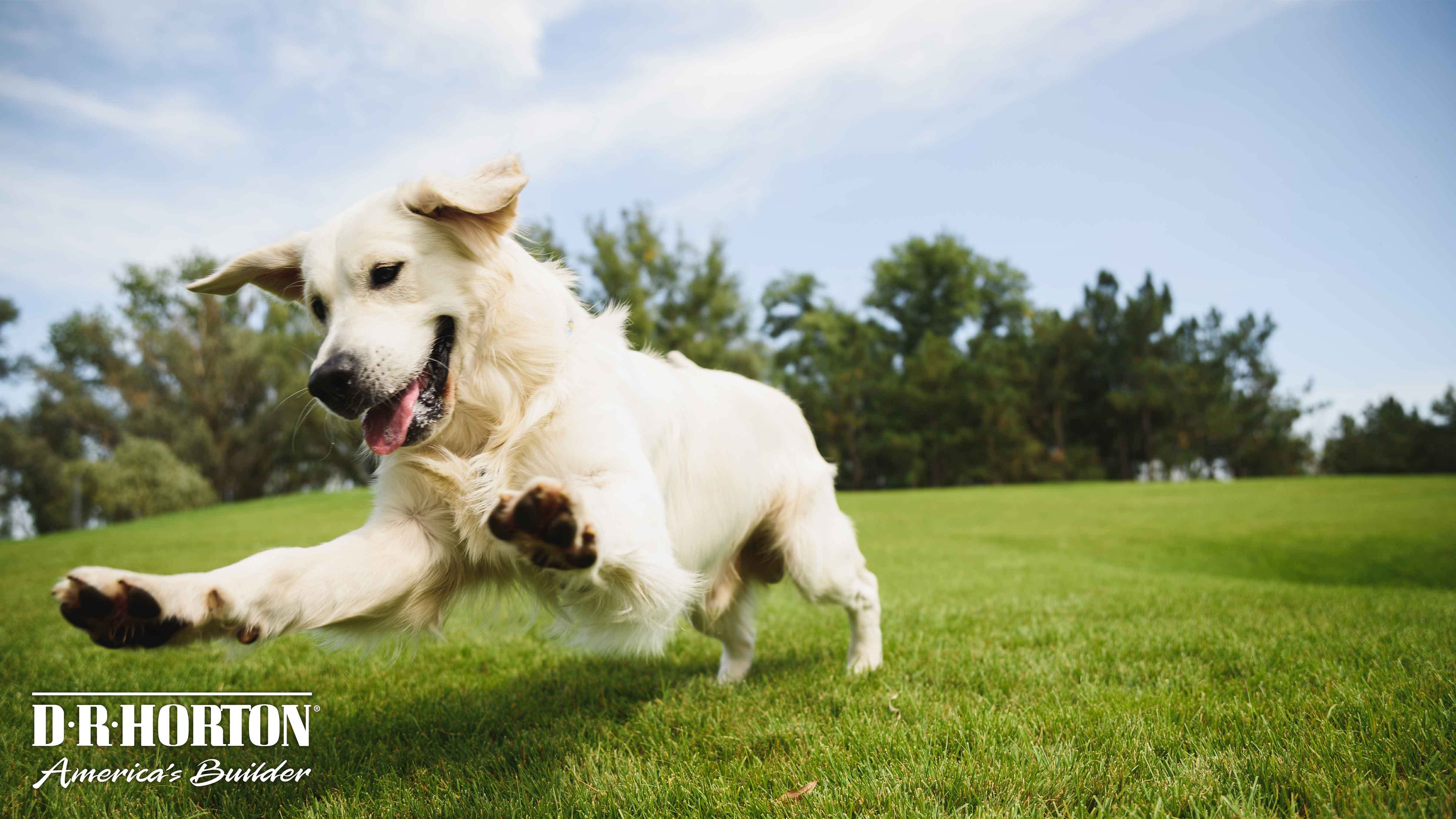 The Townes at Riverview