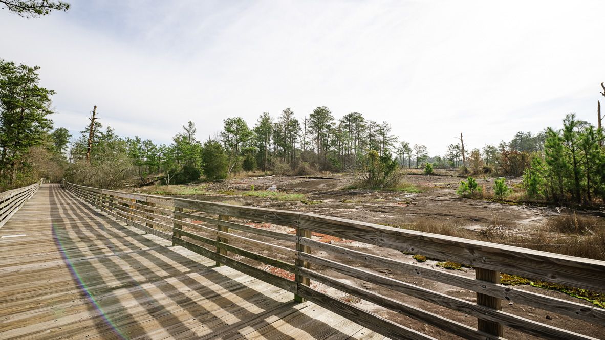 casa en Wellington Park por D.R. Horton