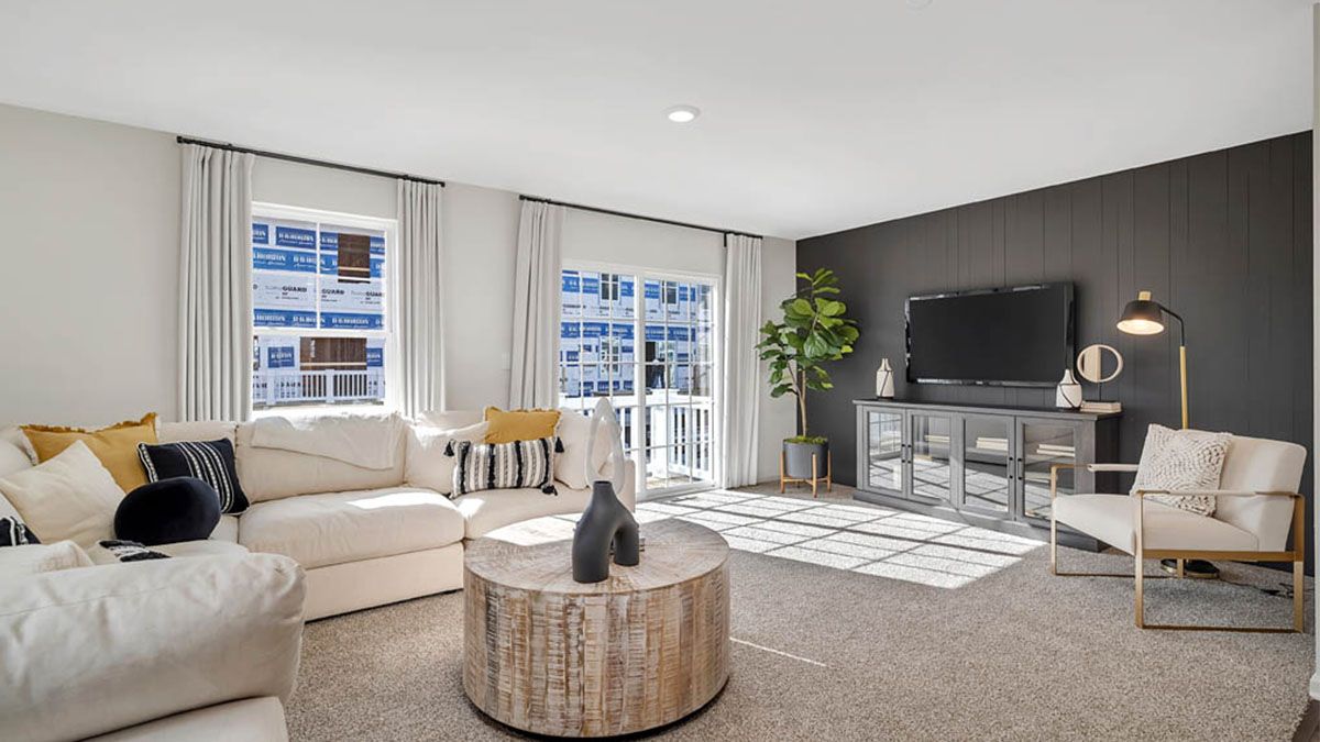 GRANT - Cambridge Lakes North Townhomes: Pingree Grove, Illinois - D.R. Horton