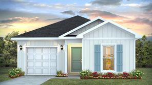 312 Robinson Bluff Road (Camilla)