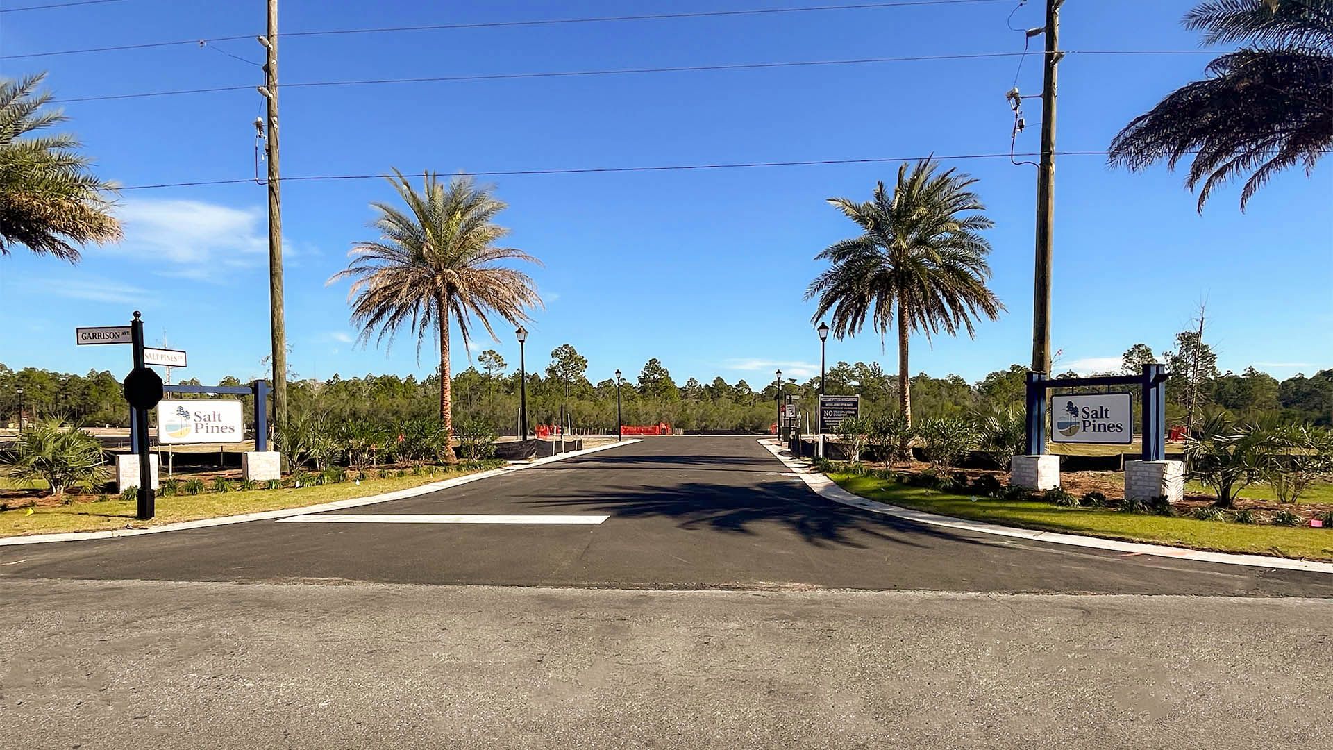 Salt Pines