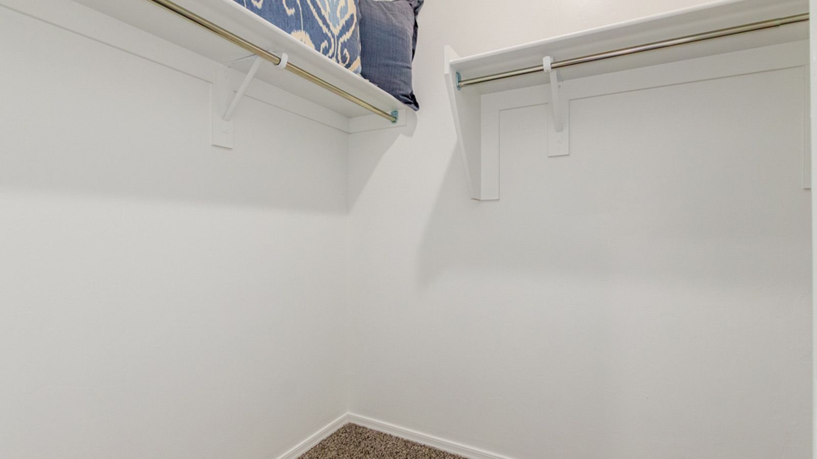 10015 N Black Dalea Dr. Marana, AZ 85653