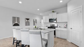 10844 BLOODSTONE DRIVE (TEXAS MOCKINGBIRD)