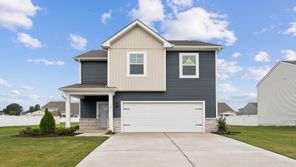 7012 Spike Rush CT (Pine)