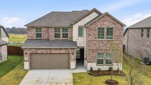 2423 Grapevine Way (H233 Alpine)