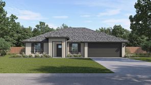 508 American Elm Drive (ALICE)