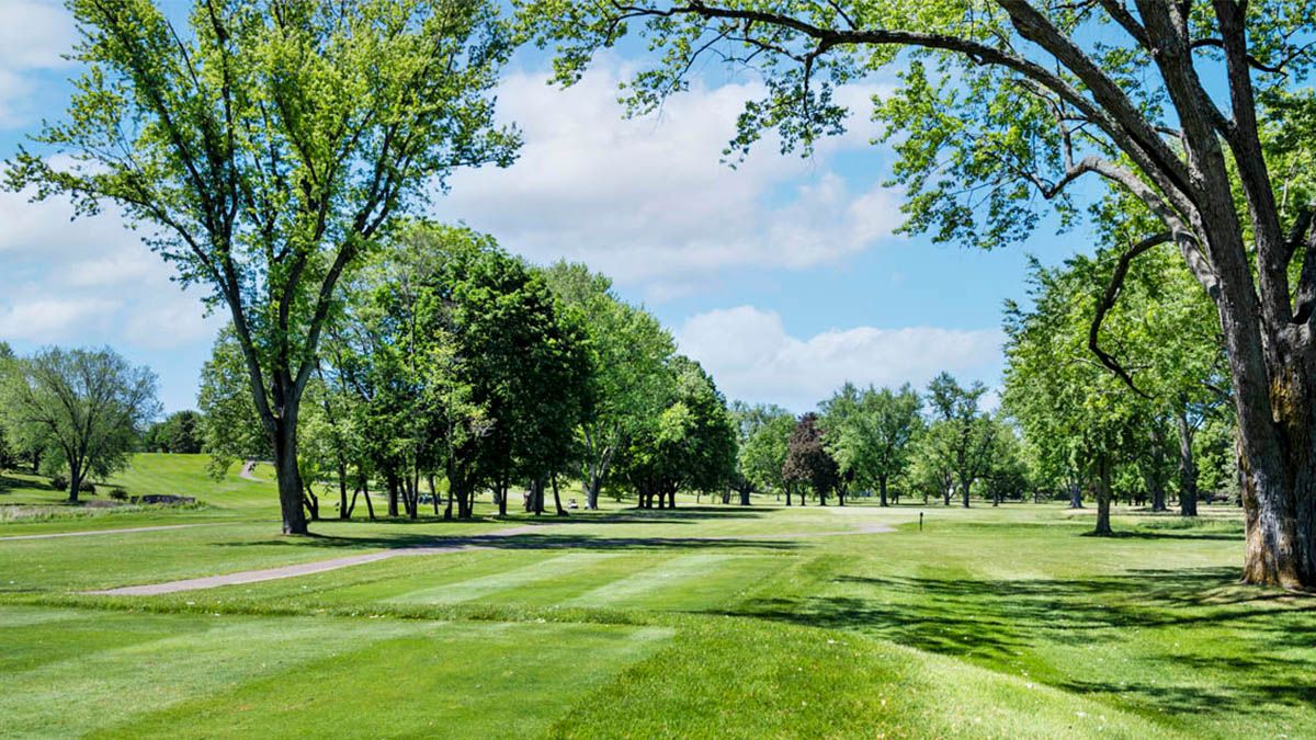 ELLIOT - Stonewater Ranch Townhomes: Wonder Lake, Illinois - D.R. Horton