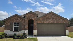 1725 Holly Trails (Harris)