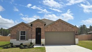 1725 Holly Trails (Harris)