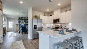 6667 JAPONICA LANE (Astor)