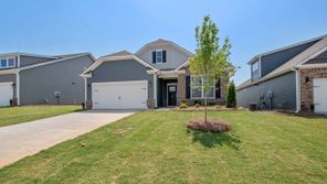 110 Higbie Drive (ROBINSON)