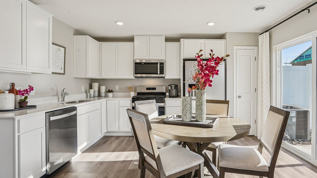 Ardan Place Townhomes - Rosemount, MN
