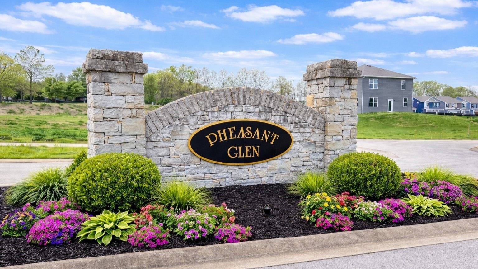 casa en Pheasant Glen por D.R. Horton