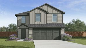 1654 Olive Ibis (The Davis)