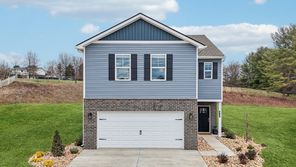 313 ALTA TREE BLVD (Elston)