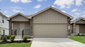 1626 Olive Ibis (The Caprock)