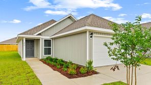 250 Reddy Creek Drive (The Celeste)