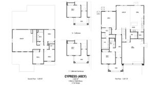 Cypress