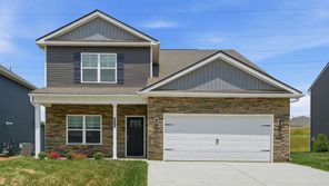236 CHIMNEY VIEW LOOP (Salem)