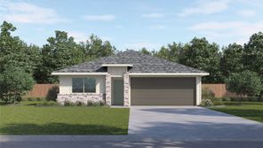 10124 Curb Strap Dr (The Anderson)
