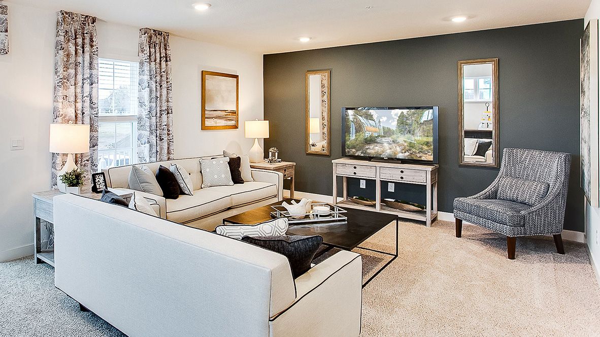 Hinton Woods Express Townhomes - Cottage Grove, MN