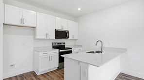 1166 Wenna Way (Altamont Townhome)